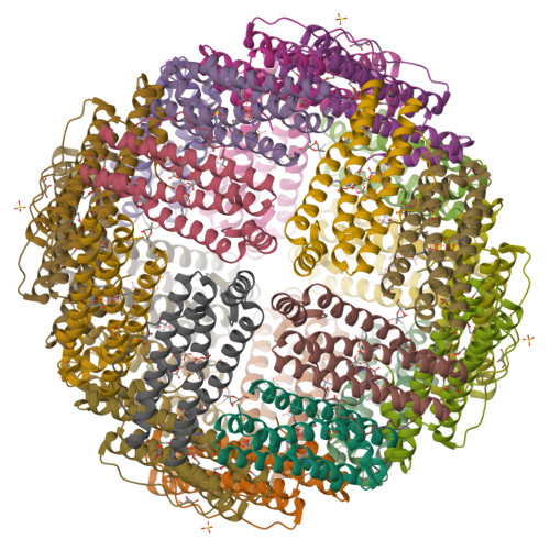 Rcsb Pdb 4xgs Crystal Structure Analysis Of Novel Iron Uptake Mechanism Of Gram Negative Bacterial Ferritin