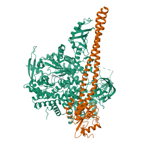 Rcsb Pdb 5xgj Crystal Structure Of Pi3k Complex With An Inhibitor