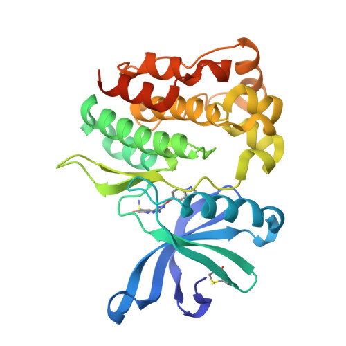 Rcsb Pdb 6xjk Jak2 Jh2 In Complex With Jak067 Rcsb Pdb 6xjk Jak2 Jh2 In Complex With Jak067