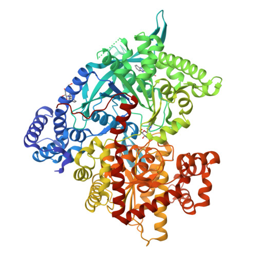 1xkx Kinetic And Crystallographic Studies On 2 Beta D Glucopyranosyl 5 Methyl 1 3 4 Oxadiazole Benzothiazole And Benzimidazole Inhibitors Of Muscle Glycogen Phosphorylase B Evidence For A New Binding Site Rcsb Pdb