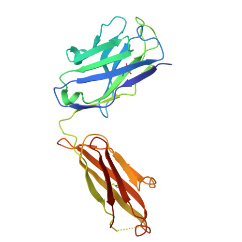 Rcsb Pdb 5xmh Crystal Structure Of An Igm Rheumatoid Factor Yes8c In Complex With Igg1 Fc