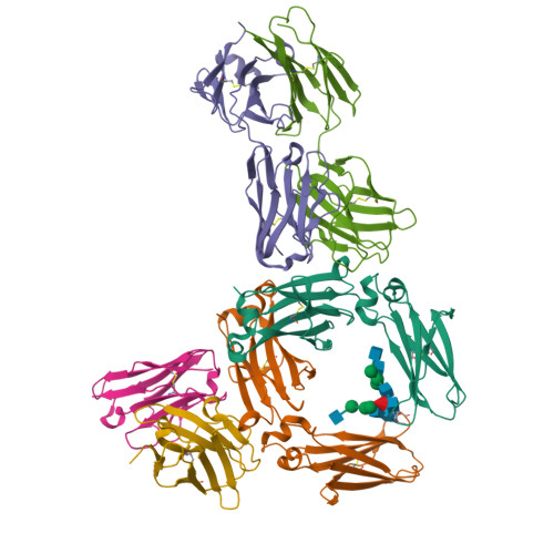 Rcsb Pdb 5xmh Crystal Structure Of An Igm Rheumatoid Factor Yes8c In Complex With Igg1 Fc