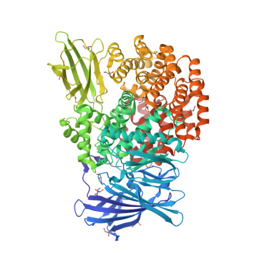 Rcsb Pdb 4xna Crystal Structure Of E Coli Aminopeptidase N In Complex With L Beta Homolysine