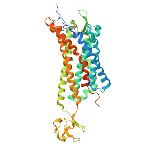 Rcsb Pdb 4xnw The Human P2y1 Receptor In Complex With Mrs2500