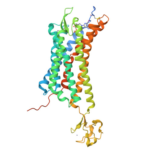 Rcsb Pdb 4xnw The Human P2y1 Receptor In Complex With Mrs2500