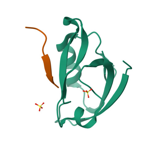 Rcsb Pdb 6xnj Crystal Structure Of The Pdz Domain Of Human Gopc In Complex With A Peptide Of E Coli O157 H7 Str Sakai Effector Nleg8