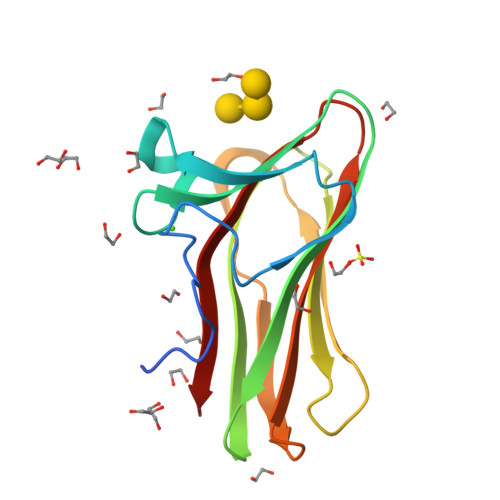 Rcsb Pdb 2xon Structure Of Tmcbm61 In Complex With Beta 1 4 Galactotriose At 1 4 A Resolution