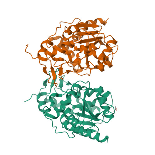 Protein Data Bank: 5XR2