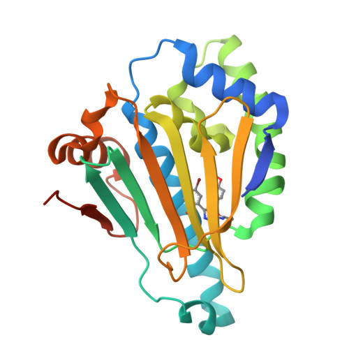 Rcsb Pdb 5xr9 Crystal Structure Of Human Hsp90 With Fs6