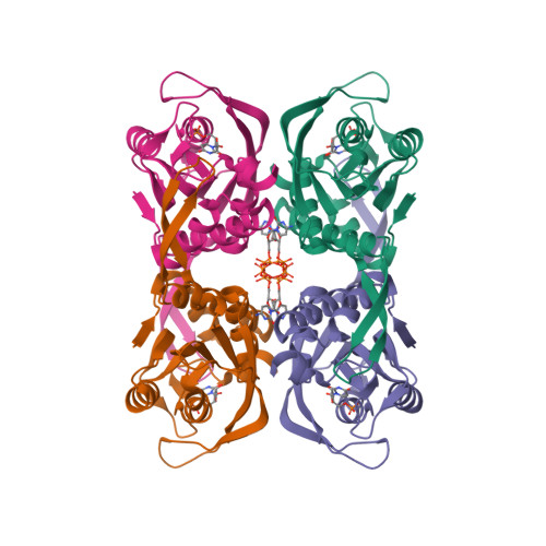 Rcsb Pdb 1xtu Sulfolobus Solfataricus Uracil Phosphoribosyltransferase In Complex With Uridine 5 Monophosphate Ump And Cytidine 5 Triphosphate Ctp