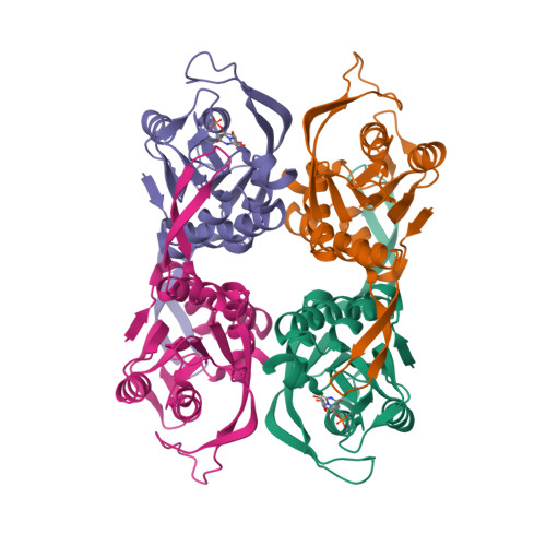 Rcsb Pdb 1xtv Sulfolobus Solfataricus Uracil Phosphoribosyltransferase With Uridine 5 Monophosphate Ump Bound To Half Of The Subunits