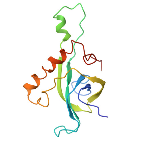 RCSB PDB - 6XU8: Drosophila melanogaster Ovary 80S ribosome