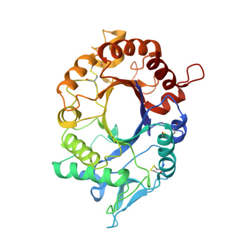 Rcsb Pdb 2xvn A Fumigatus Chitinase A1 Phenyl Methylguanylurea Complex