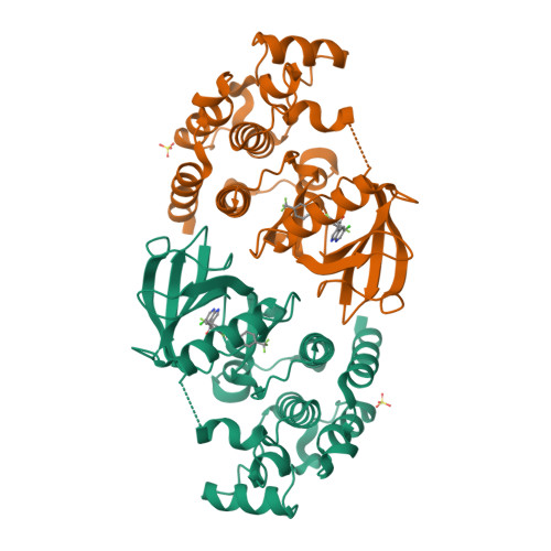 Rcsb Pdb 4xv9 B Raf Kinase Domain In Complex With Plx5568