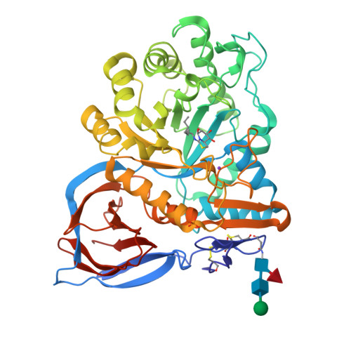 Rcsb Pdb 2xwe X Ray Structure Of Acid Beta Glucosidase With 5n 6s N N Octyl Imino 6 Thionojirimycin In The Active Site