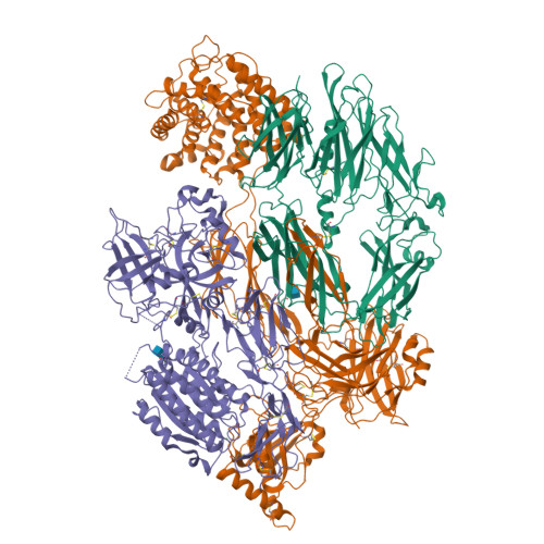 Rcsb Pdb 2xwj Crystal Structure Of Complement C3b In Complex With Factor B