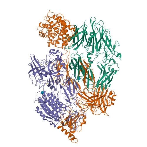 Rcsb Pdb 2xwj Crystal Structure Of Complement C3b In Complex With Factor B