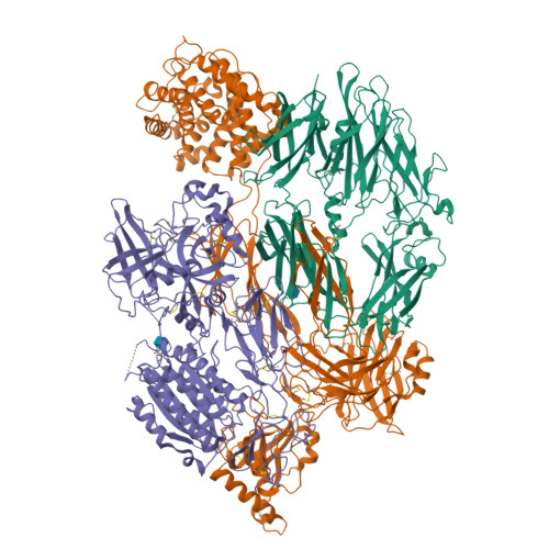 Rcsb Pdb 2xwj Crystal Structure Of Complement C3b In Complex With Factor B