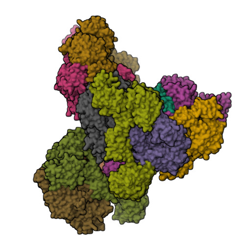 Rcsb Pdb 2xwj Crystal Structure Of Complement C3b In Complex With Factor B