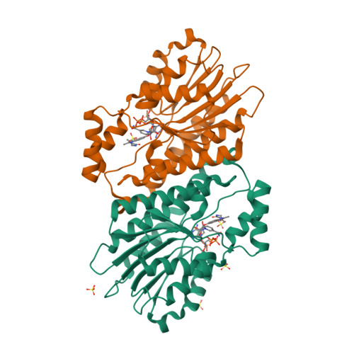 Image of receptor 3D structure from RCSB PDB