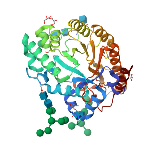 Rcsb Pdb 4xx6 Crystal Structure Of A Glycosylated Endo Beta 1 4 Xylanase Glycoside Hydrolase Family 10 Gh10 Enzyme From Gloeophyllum Trabeum