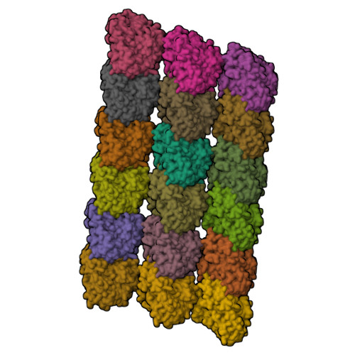 Rcsb Pdb 5xxt Gdp Microtubule Complexed With Nucleotide Free Kif5c