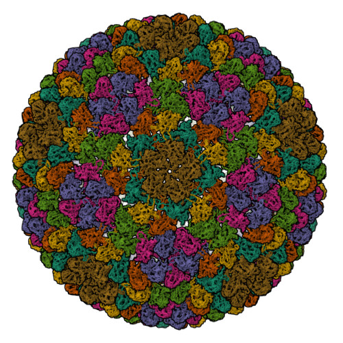 Rcsb Pdb 2xyy De Novo Model Of Bacteriophage P22 Procapsid Coat Protein