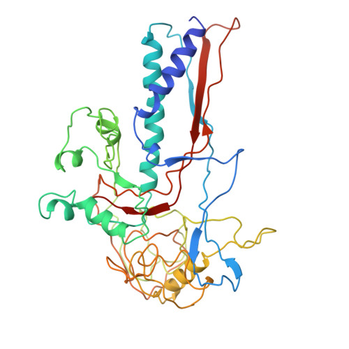 Rcsb Pdb 2xyy De Novo Model Of Bacteriophage P22 Procapsid Coat Protein