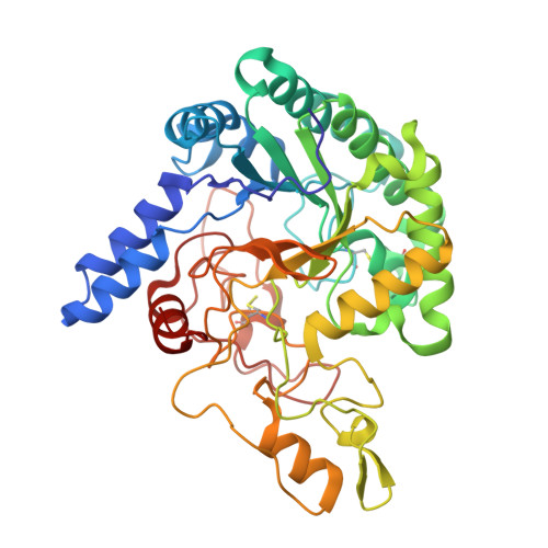 Rcsb Pdb 5xyh Crystal Structure Of Catalytic Domain Of 1 4 Beta Cellobiosidase Cbsa From Xanthomonas Oryzae Pv Oryzae