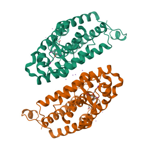 Rcsb Pdb 1y0x Thyroxine Thyroid Hormone Receptor Interactions