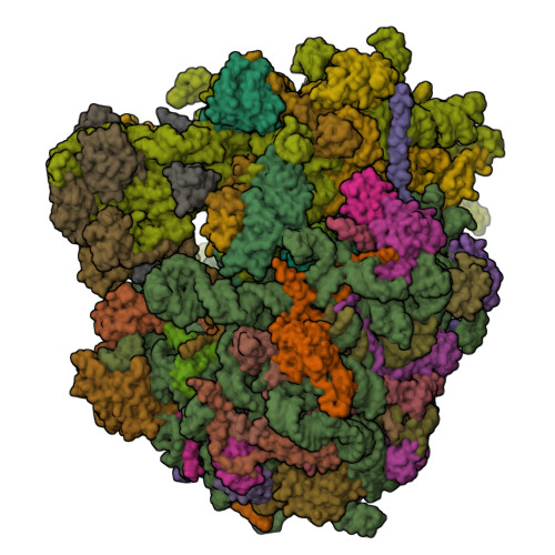 8Y0U assembly