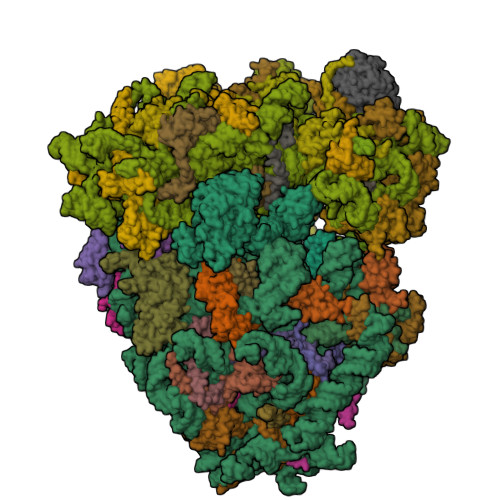 8Y0W assembly