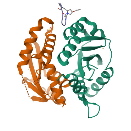 Rcsb Pdb 4y1c Cyclic Hexapeptide Cyc Ndpoppkid In Complex With Hiv 1 Integrase Core Domain