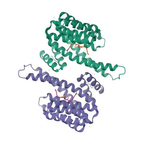Rcsb Pdb 6y1d Binary Complex Of 14 3 3 Sigma C38n With The Estrogen Related Receptor Gamma Dbd Phosphopeptide