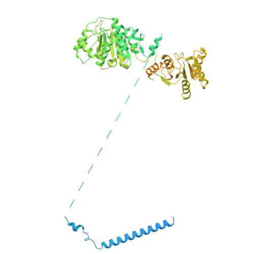 Rcsb Pdb 6y5q Human 17s U2 Snrnp