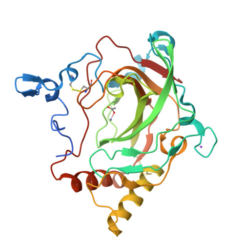 Rcsb Pdb 1y7w Crystal Structure Of A Halotolerant Carbonic Anhydrase From Dunaliella Salina