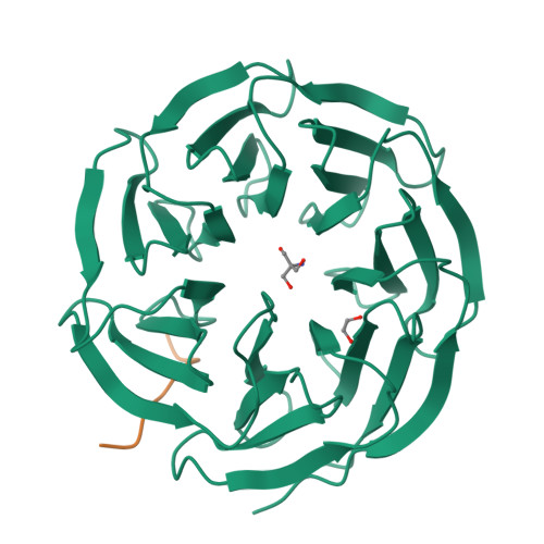 Rcsb Pdb 4y7r Crystal Structure Of Wdr5 In Complex With Myc Mbiiib Peptide