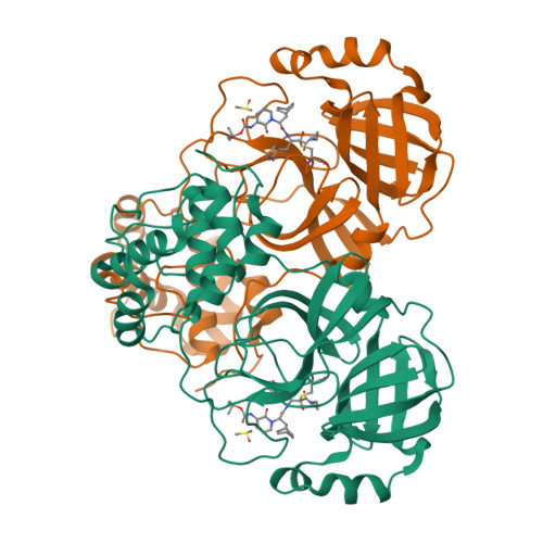 Rcsb Pdb 6y7m Crystal Structure Of The Complex Resulting From The Reaction Between The Sars Cov Main Protease And Tert Butyl 1 S 3 Cyclohexyl 1 S 4 Cyclopropylamino 3 4 Dioxo 1 S 2 Oxopyrrolidin 3 Yl Butan 2 Yl Amino 1 Oxopropan 2 Yl