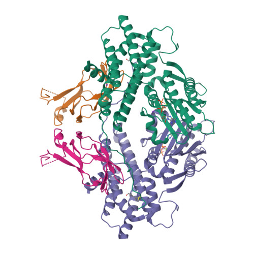 Rcsb Pdb 1y8p Crystal Structure Of The Pdk3 L2 Complex