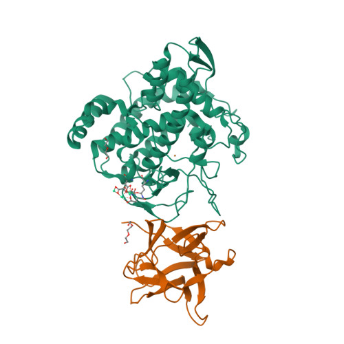 Rcsb Pdb 2y9w Crystal Structure Of Ppo3 A Tyrosinase From Agaricus Bisporus In Deoxy Form That Contains Additional Unknown Lectin Like Subunit