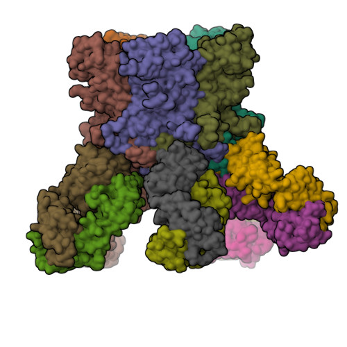 Rcsb Pdb 5y9f Crystal Structure Of Hpv59 Pentamer In Complex With The Fab Fragment Of Antibody 28f10