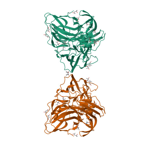 Rcsb Pdb 2yam X Ray Induced Reduction Of Laccase From Thermus Thermophilus Hb27 37 5 50 0 Percent Dose