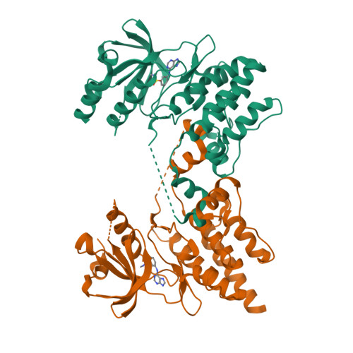 Rcsb Pdb 4yfi Tnni3k Complexed With Inhibitor 1