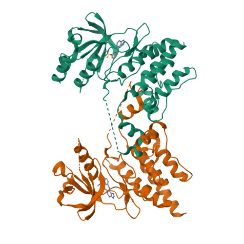 Rcsb Pdb 4yfi Tnni3k Complexed With Inhibitor 1