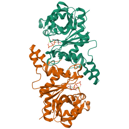 image of structure for 9YFB