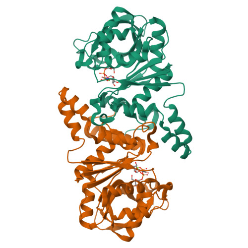 image of structure for 9YFK