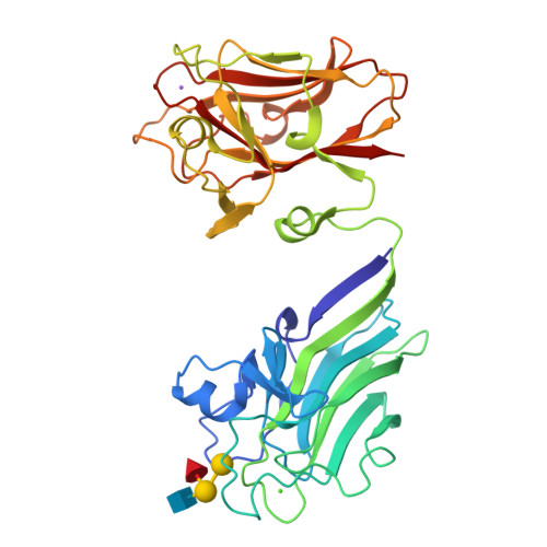 Rcsb Pdb 2ygm The X Ray Crystal Structure Of Tandem Cbm51 Modules Of Sp3gh98 The Family 98 Glycoside Hydrolase From Streptococcus Pneumoniae Sp3 Bs71 In Complex With The Blood Group B Antigen