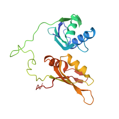 Rcsb Pdb 2yh0 Solution Structure Of The Closed Conformation Of Human U2af65 Tandem Rrm1 And Rrm2 Domains