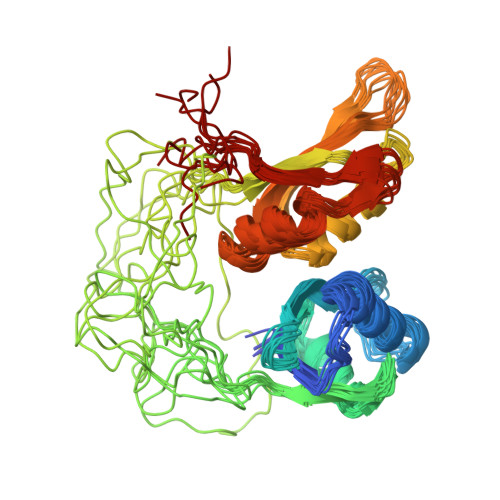 Rcsb Pdb 2yh0 Solution Structure Of The Closed Conformation Of Human U2af65 Tandem Rrm1 And Rrm2 Domains