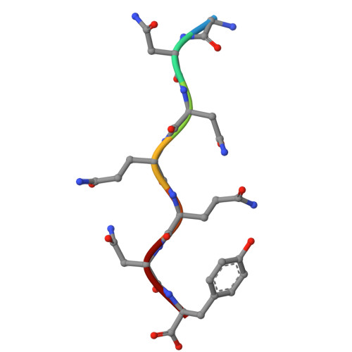 Rcsb Pdb 1yjp Structure Of Gnnqqny From Yeast Prion Sup35